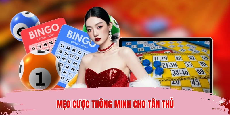 Mẹo cược thông minh cho tân thủ
